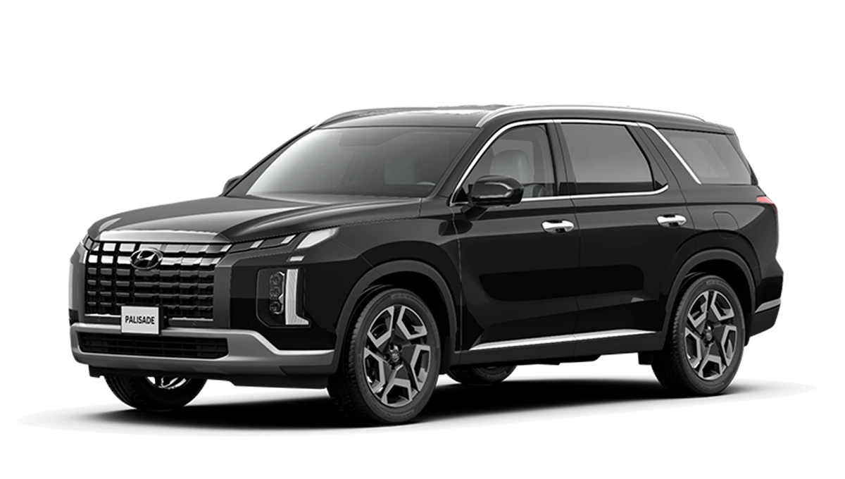 Hyundai Palisade Bình Thuận